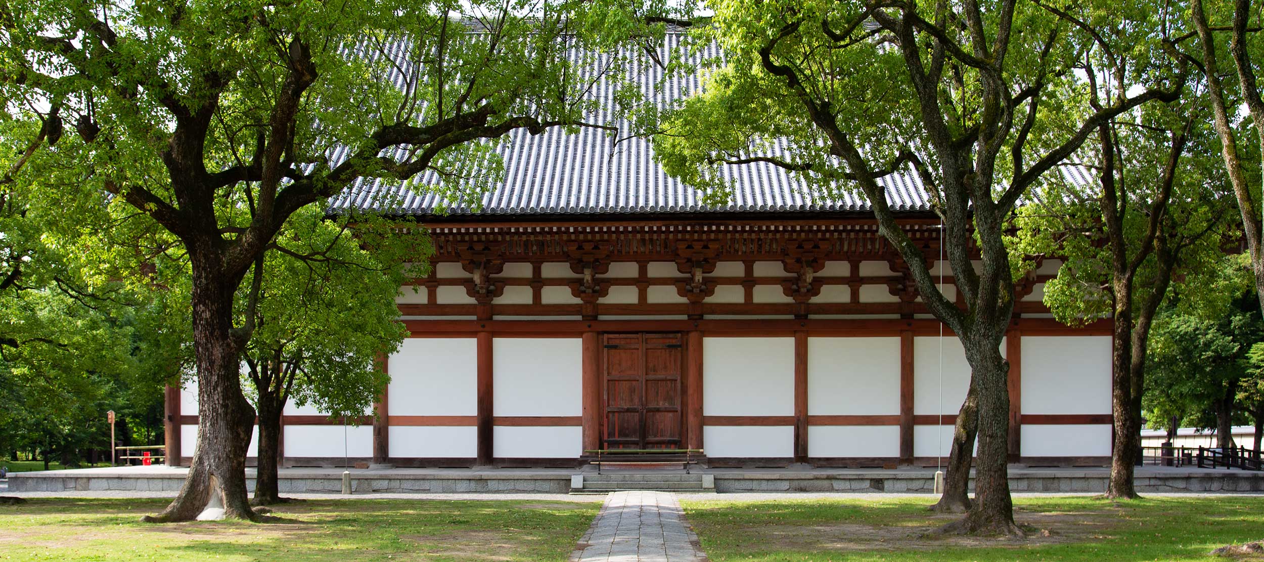新緑の「青もみじ」