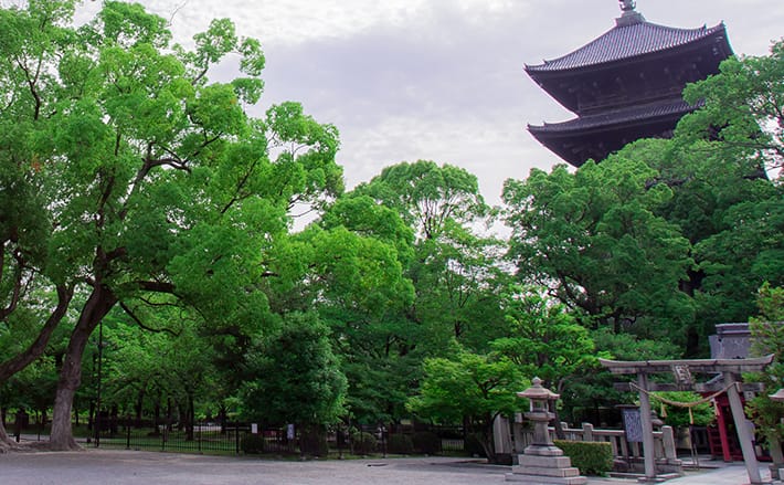 世界遺産｢東寺｣を朝さんぽ