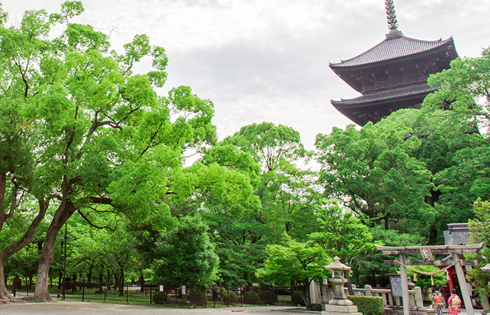 東寺