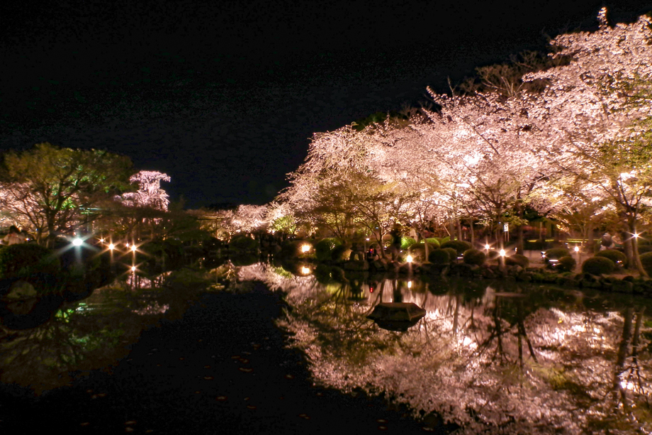 東寺ライトアップ情報 21 東寺に歩いて行けるホテル 京都プラザホテル