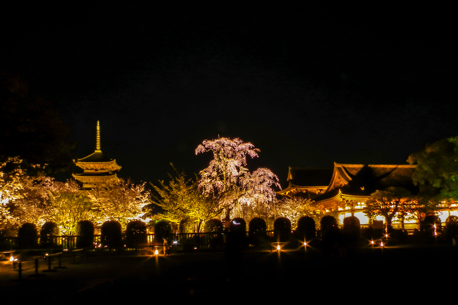 東寺ライトアップ情報 21 東寺に歩いて行けるホテル 京都プラザホテル