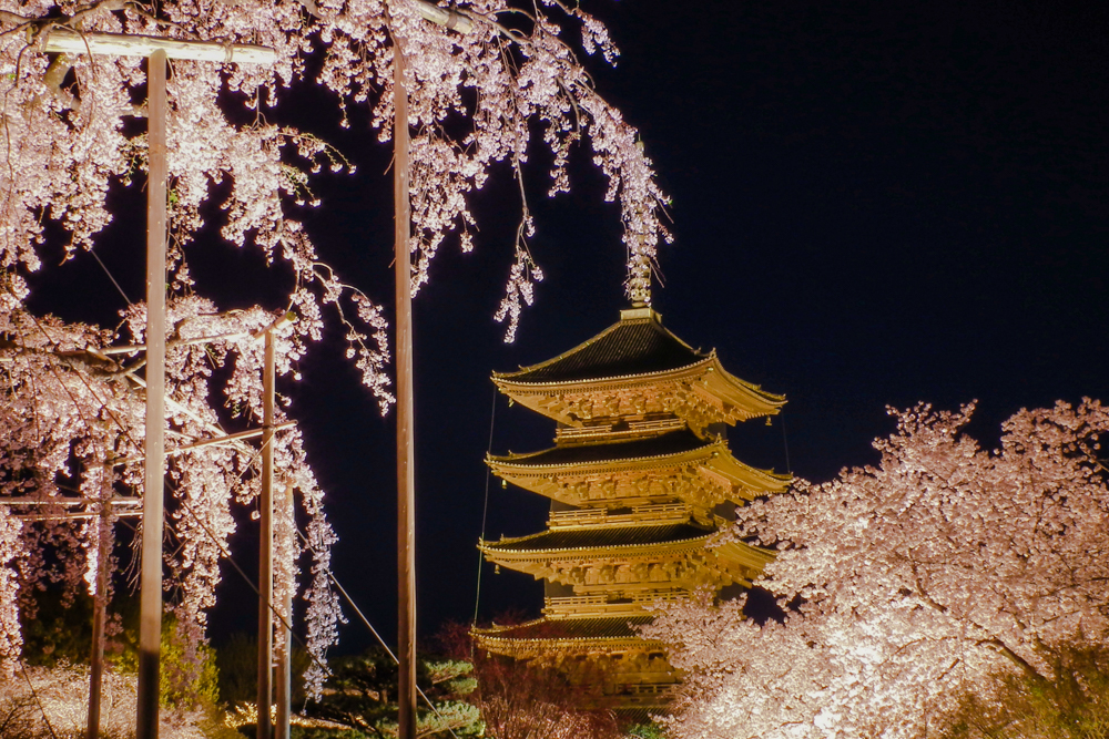 東寺ライトアップ情報 東寺に歩いて行けるホテル 京都プラザホテル