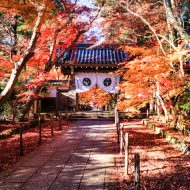 秋の光明寺