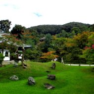 秋雨時期の高台寺