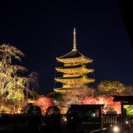 ライトアップの東寺