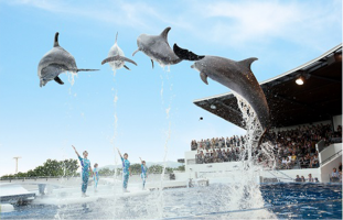 水族館プラン