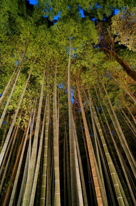 dsc01200