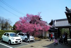 DSCF9626