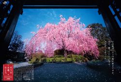 2013_spring