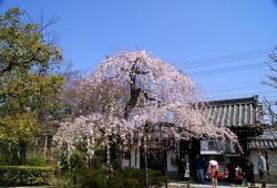 DSC02298