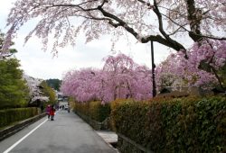 DSC02850