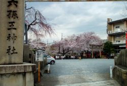 DSCF9903