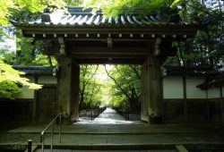 DSC04414