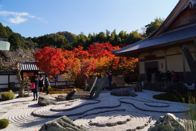 圓光寺の紅葉