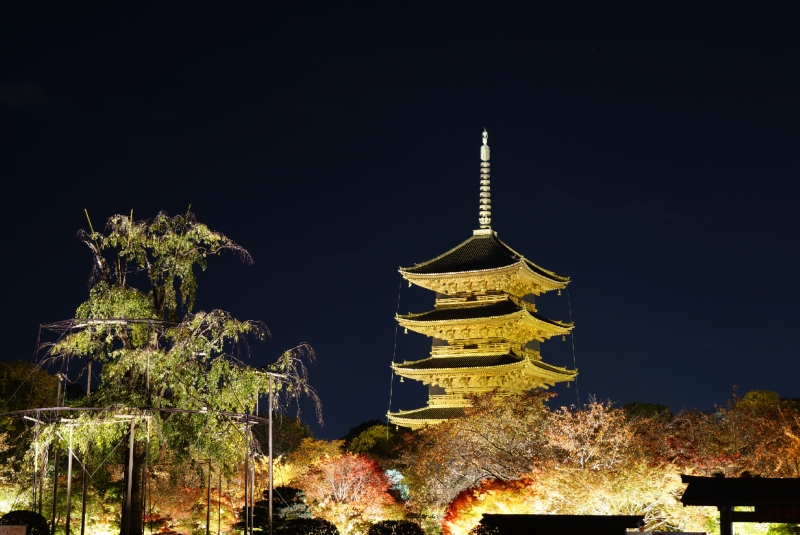 東寺のライトアップ