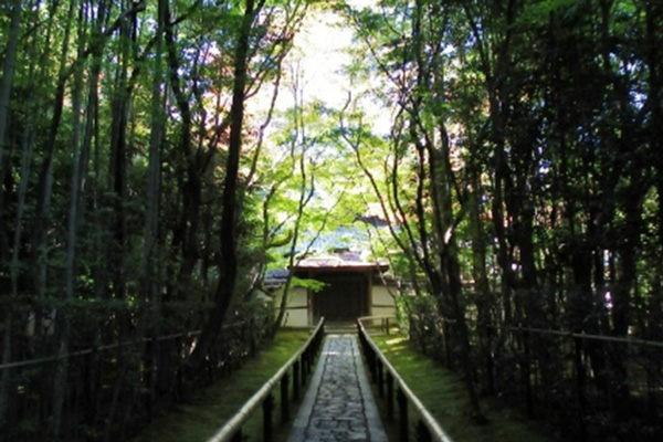 高桐院