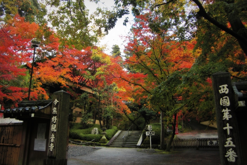 今熊野観音寺の紅葉