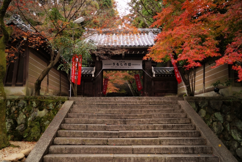 嵐山の穴場スポット法輪寺