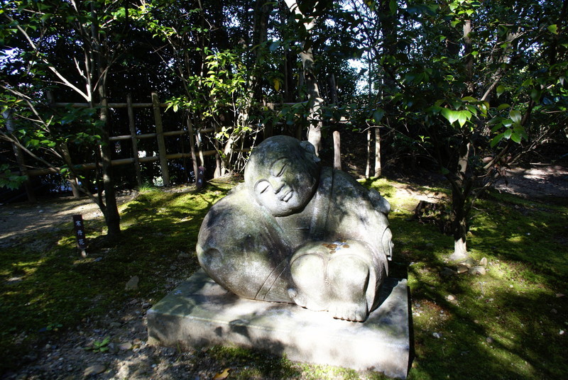 SONY DSC