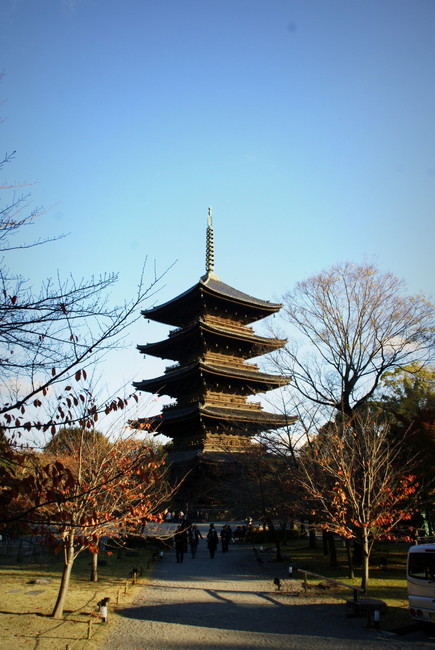 SONY DSC