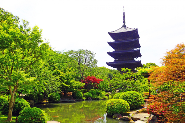 東寺です