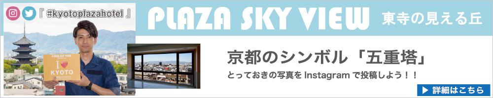 京都絶景スポット　プラザスカイビュー東寺の見える丘