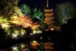 秋の東寺