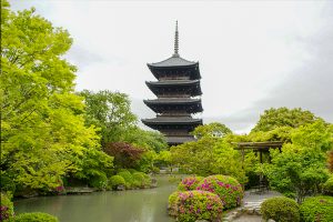 夏の東寺