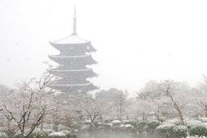 冬の東寺