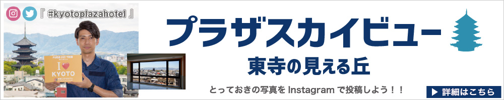 京都絶景スポット　プラザスカイビュー東寺の見える丘