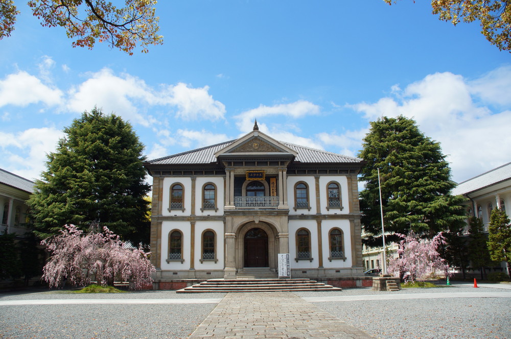 桜情報 紅枝垂れ桜が見頃に 京都プラザホテル 本館 新館 公式 京都駅 観光 ビジネス