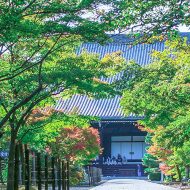 紅葉の名所は青もみじの名所　光明寺