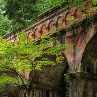 青もみじのトンネルに包まれる参道｜高台寺