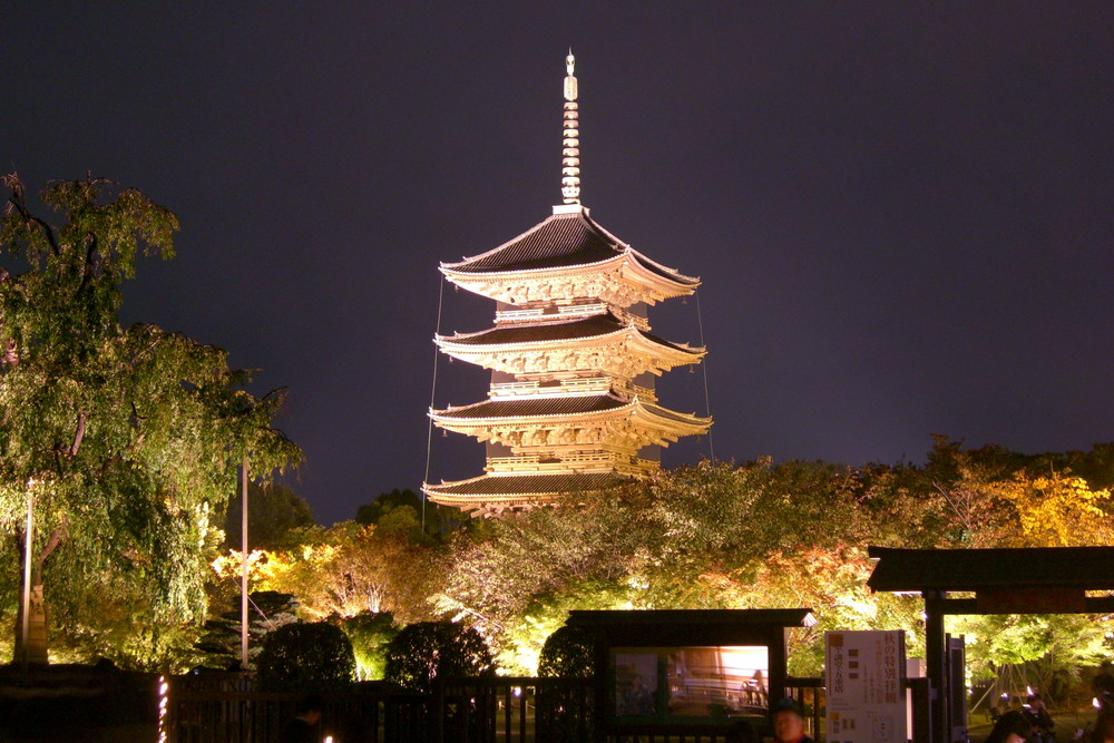 観光情報 東寺の夜間拝観 京都プラザホテル 本館 新館 公式 京都駅 観光 ビジネス