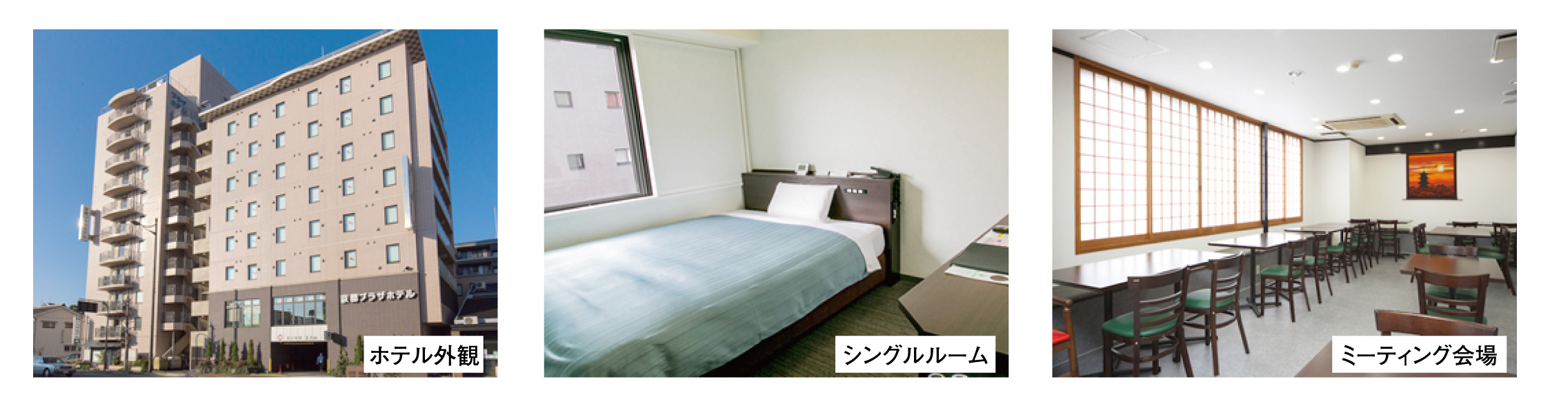 シングル利用プラン