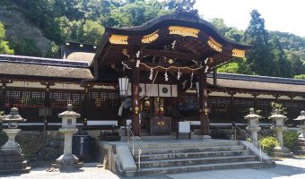 チームラボ 東寺 光の祭 ライトアップ 8月6日より開催 京都プラザホテル 本館 新館 公式 京都駅 観光 ビジネス チームラボ 東寺 光の祭 ライトアップ 8月6日より開催 京都プラザホテル 本館 新館 公式 京都駅 観光 ビジネス