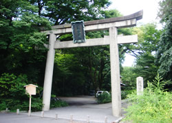 nashinoki-jinjya01.jpg