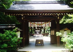 nashinoki-jinjya04.jpg